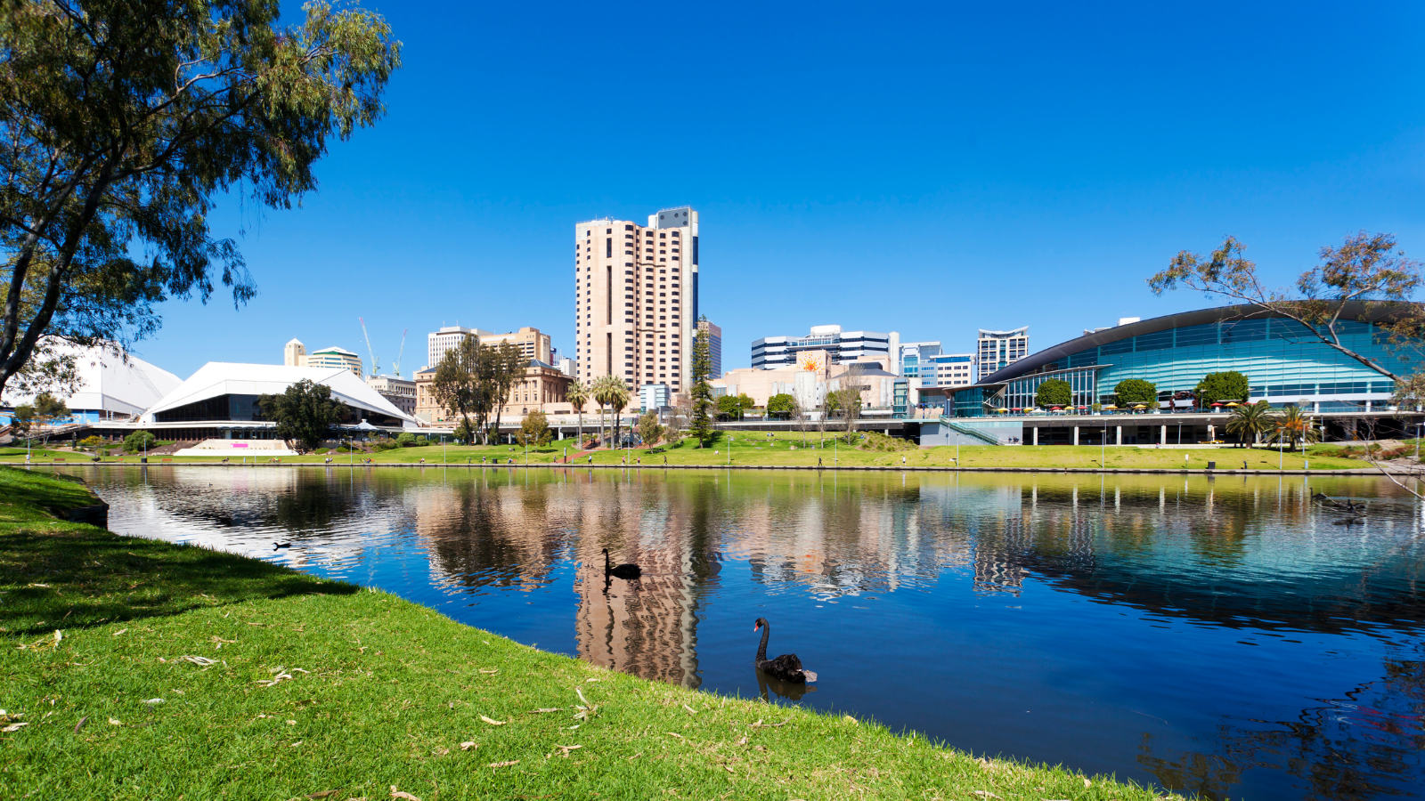 A sunny day in Adelaide with the River Torrens in the foreground.