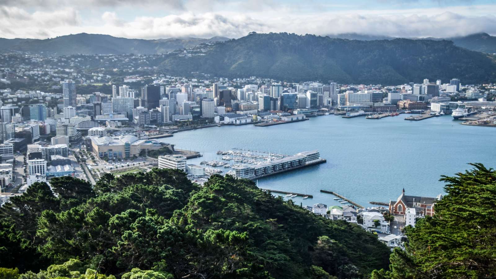 Aerial view of Wellington, New Zealand