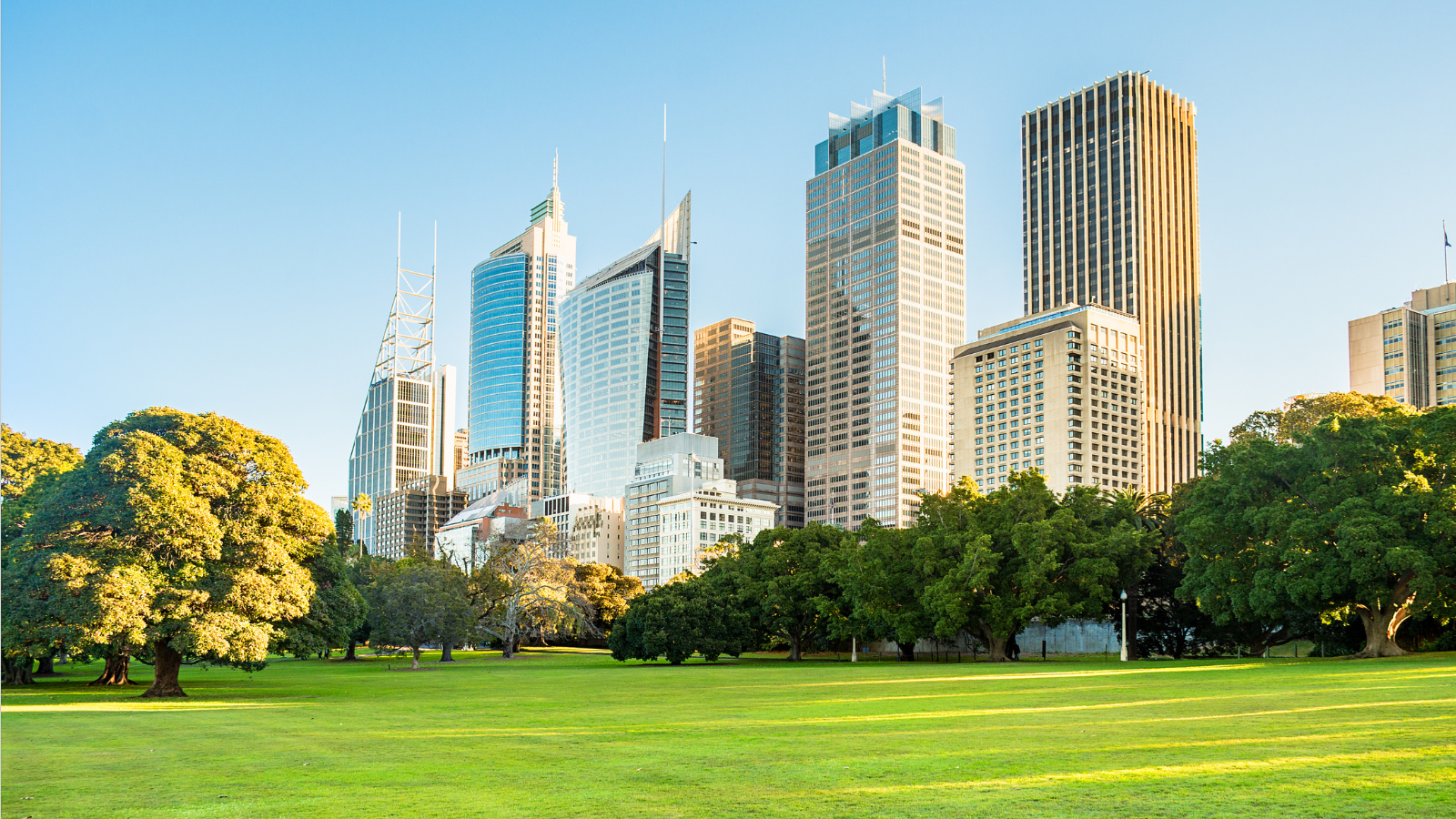 View of Downtown Sydney from a park.