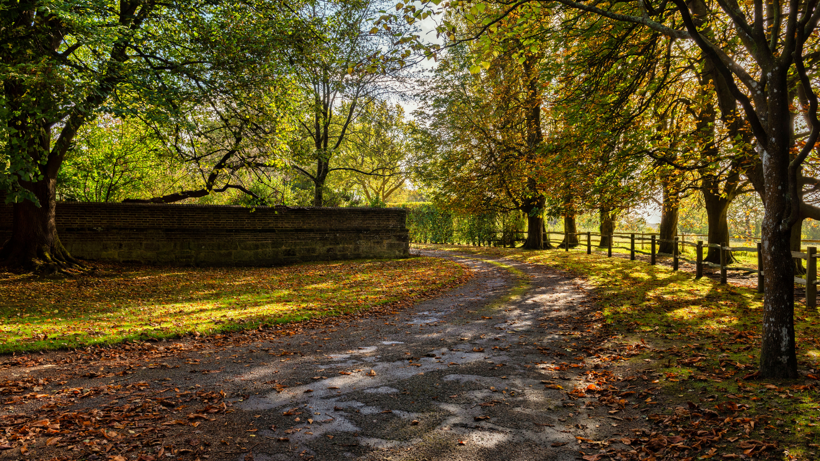 Autumn countryside around Brenchley near Royal Tunbridge Wells.