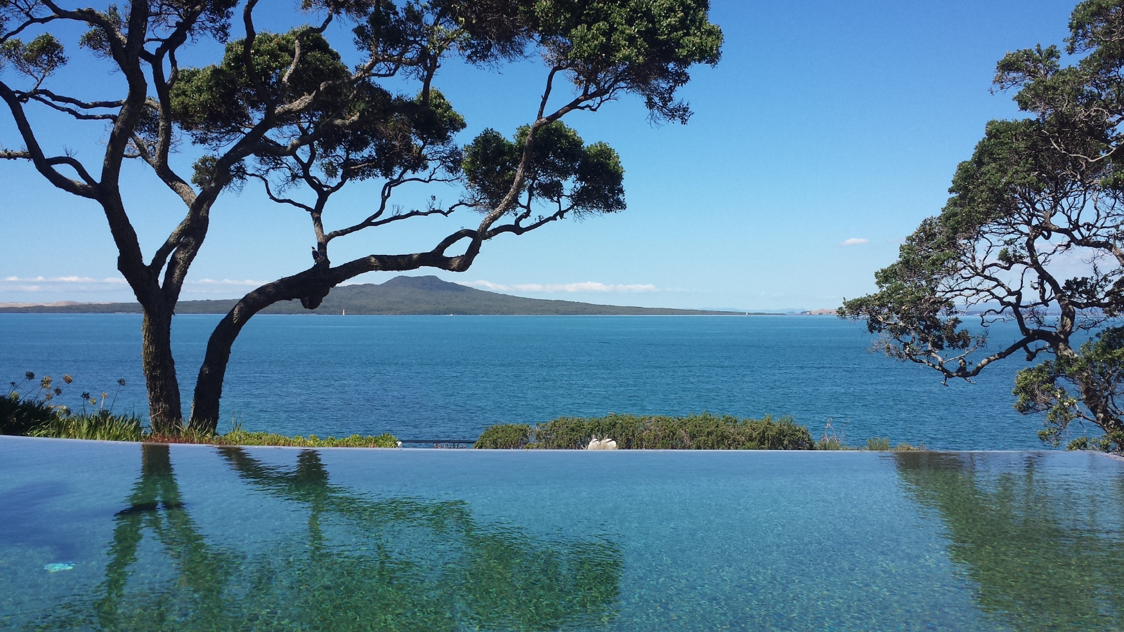 View of Auckland’s coast and plant life.