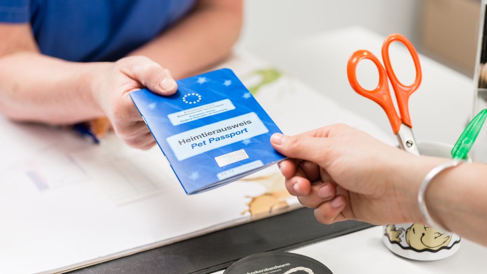 Person holding a pet passport