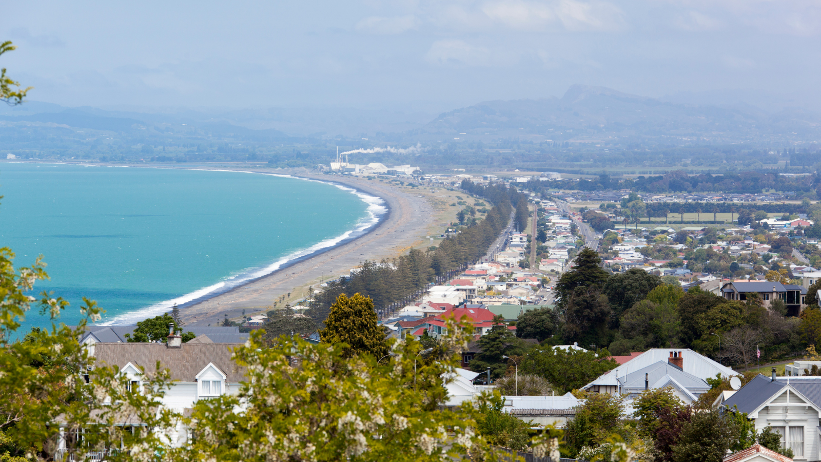 Aerial view of homes and the coastline of Napier Town